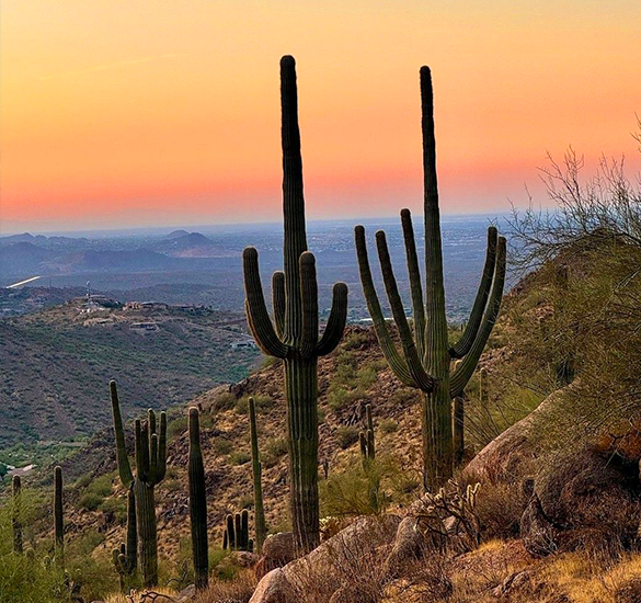 In The Stunning City of Scottsdale, Arizona